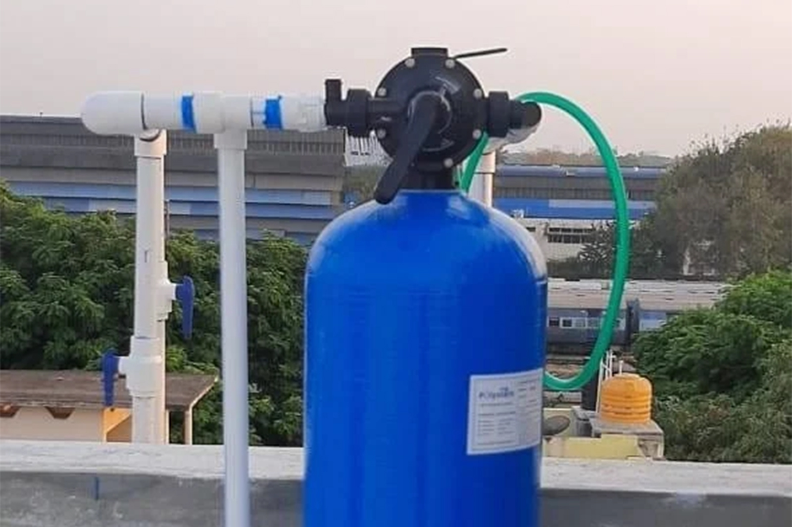 Commercial blue plant